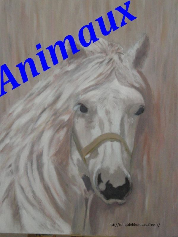 Les Animaux